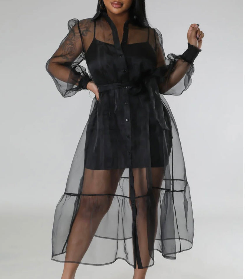 Shear Cover Dress Black Dress