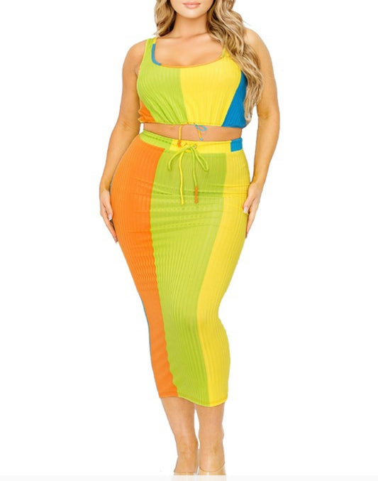 Plus Sleeveless Color Block 2 Piece Skirt Set