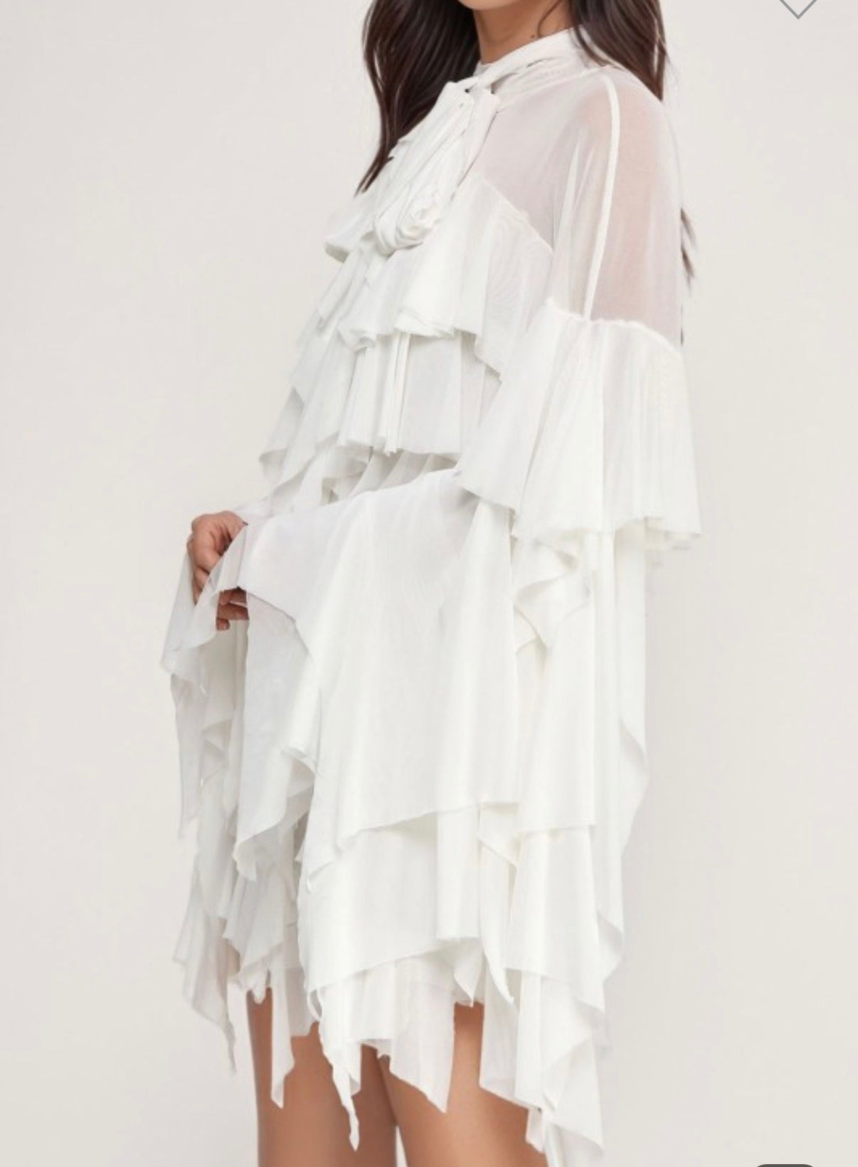 Long Sleeve Ruffle Mesh Layer Top
