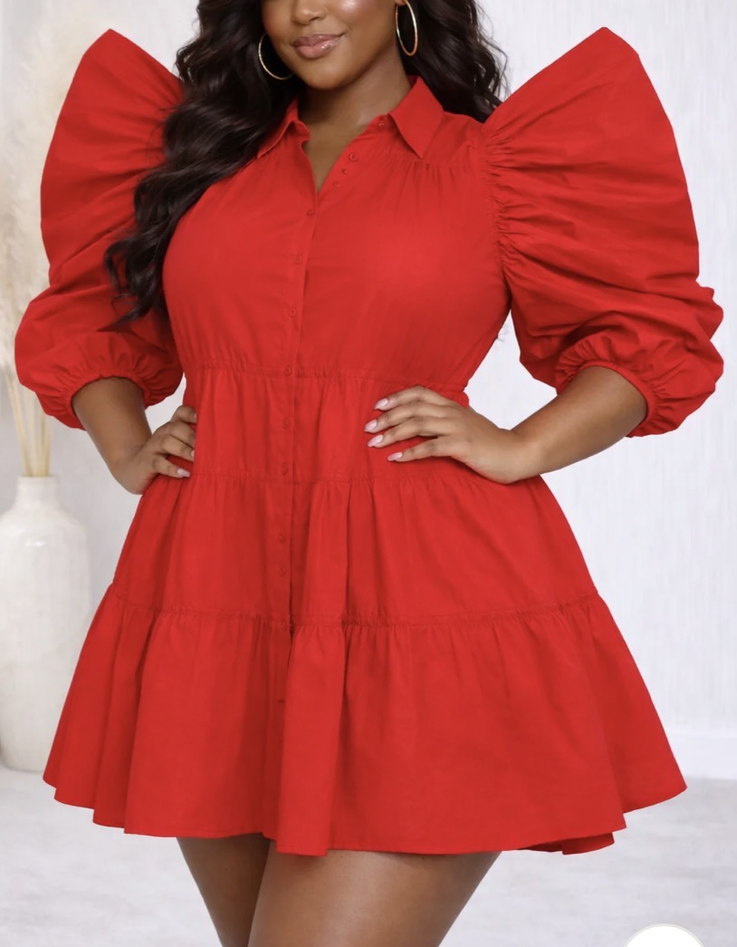 Puff Sleeve Button Down Ruffles Dress