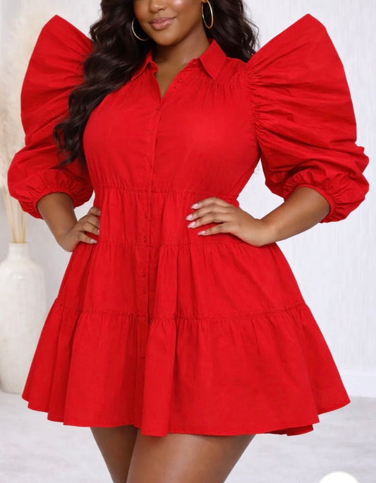 Puff Sleeve Button Down Ruffles Dress