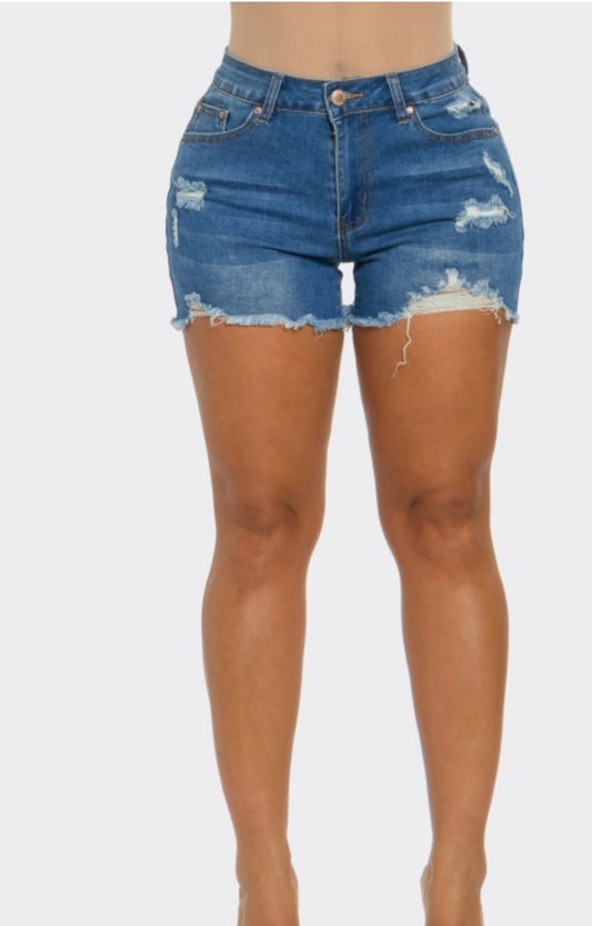 Denim Short Jeans Ripped Women Pants Stretch