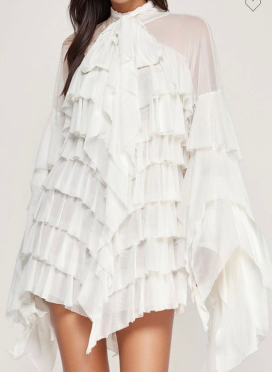 Long Sleeve Ruffle Mesh Layer Top