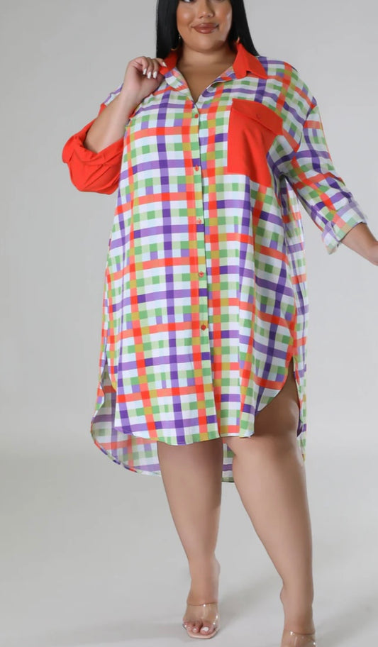 Multi Color Print Dress Plus